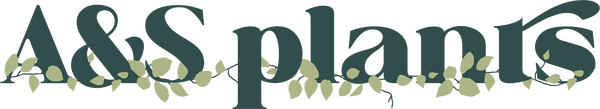 a&s plants logo