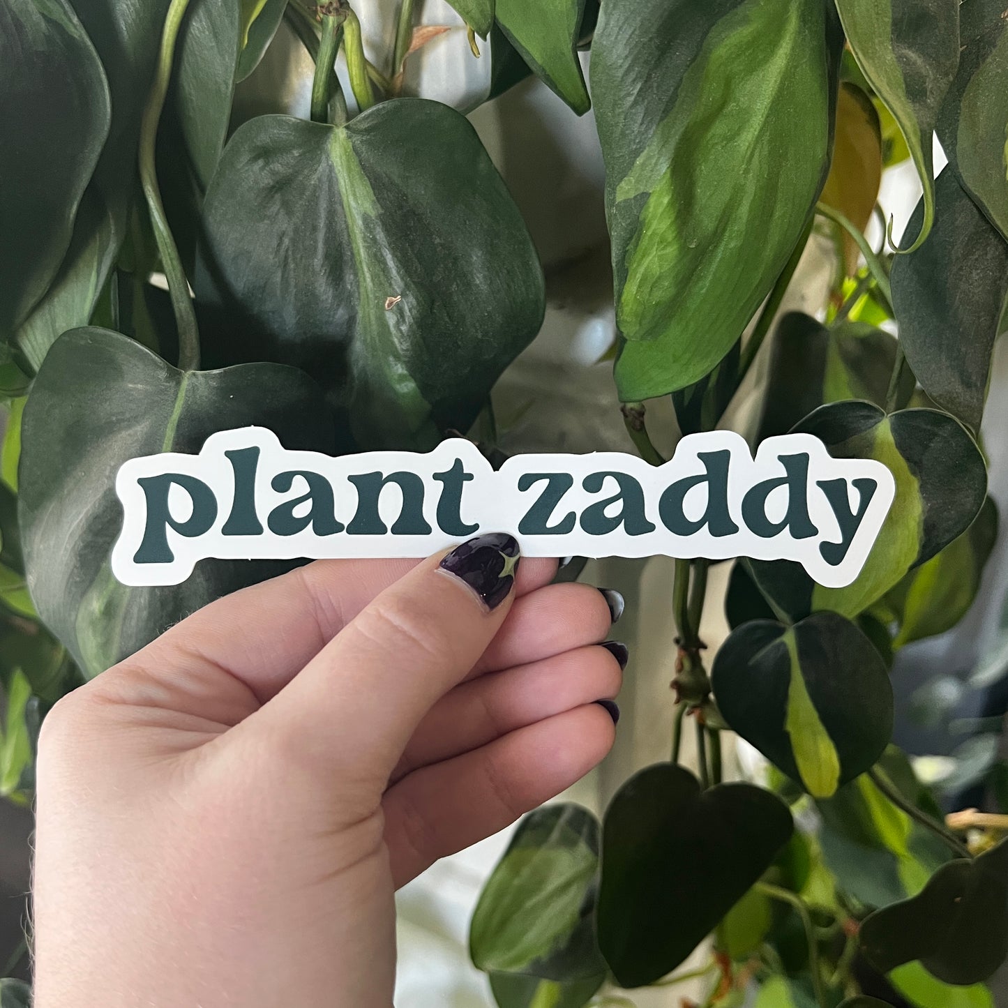 plant zaddy sticker