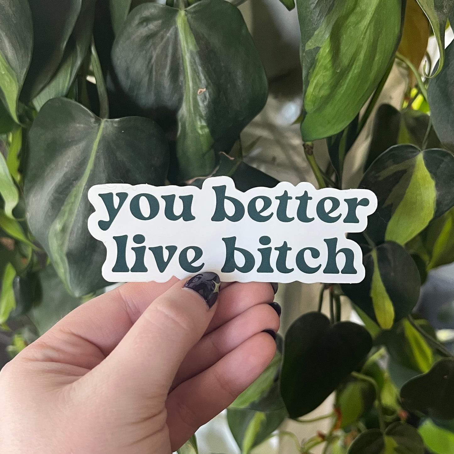 you better live bitch sticker