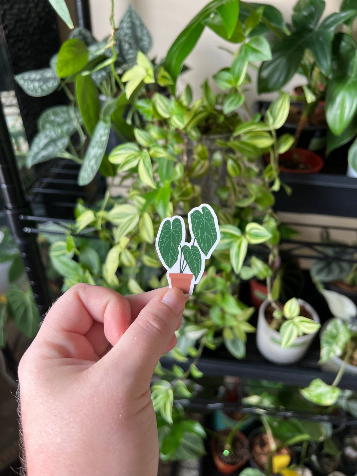 small plant sticker pack